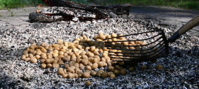 Kartoffelbraten 2024